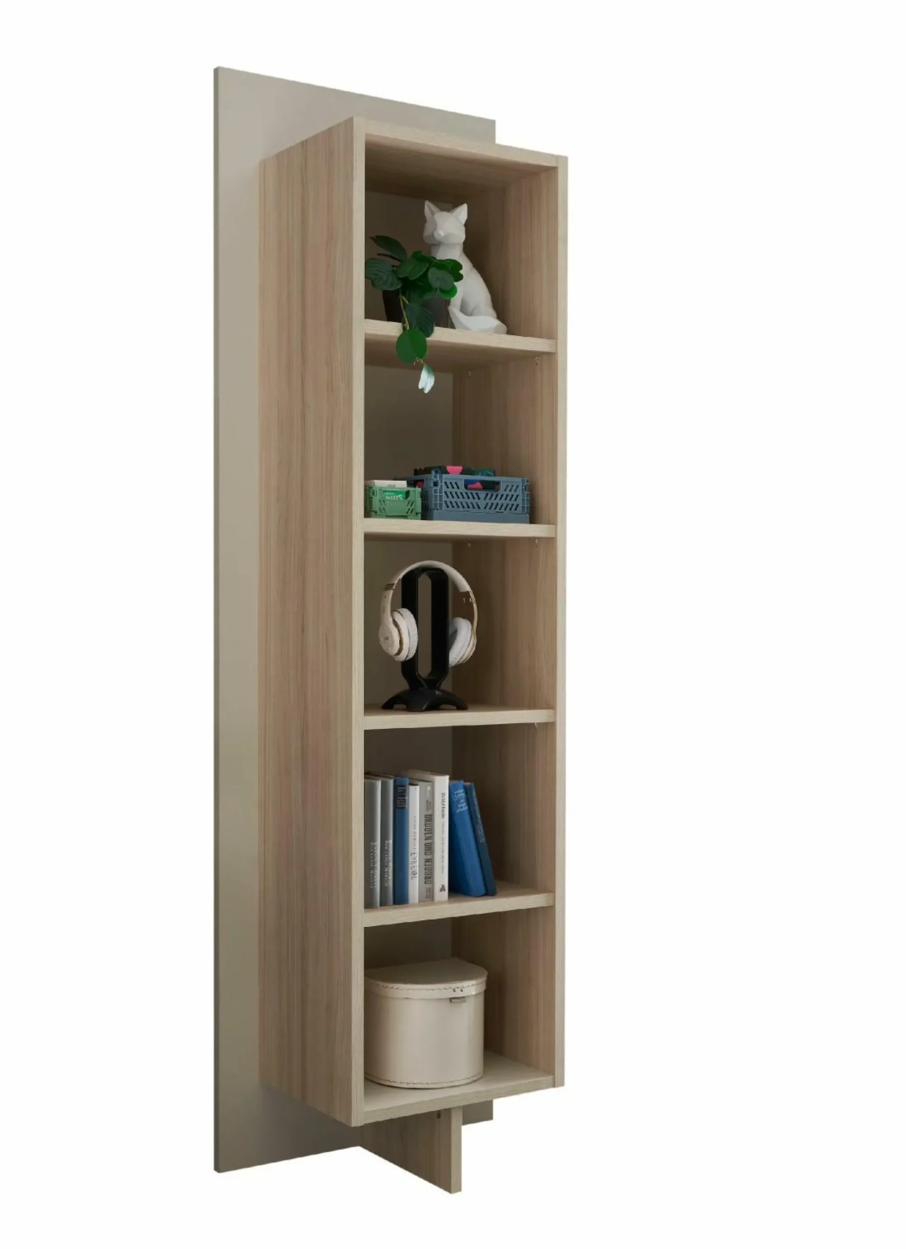 Best vito Regal ASSUME