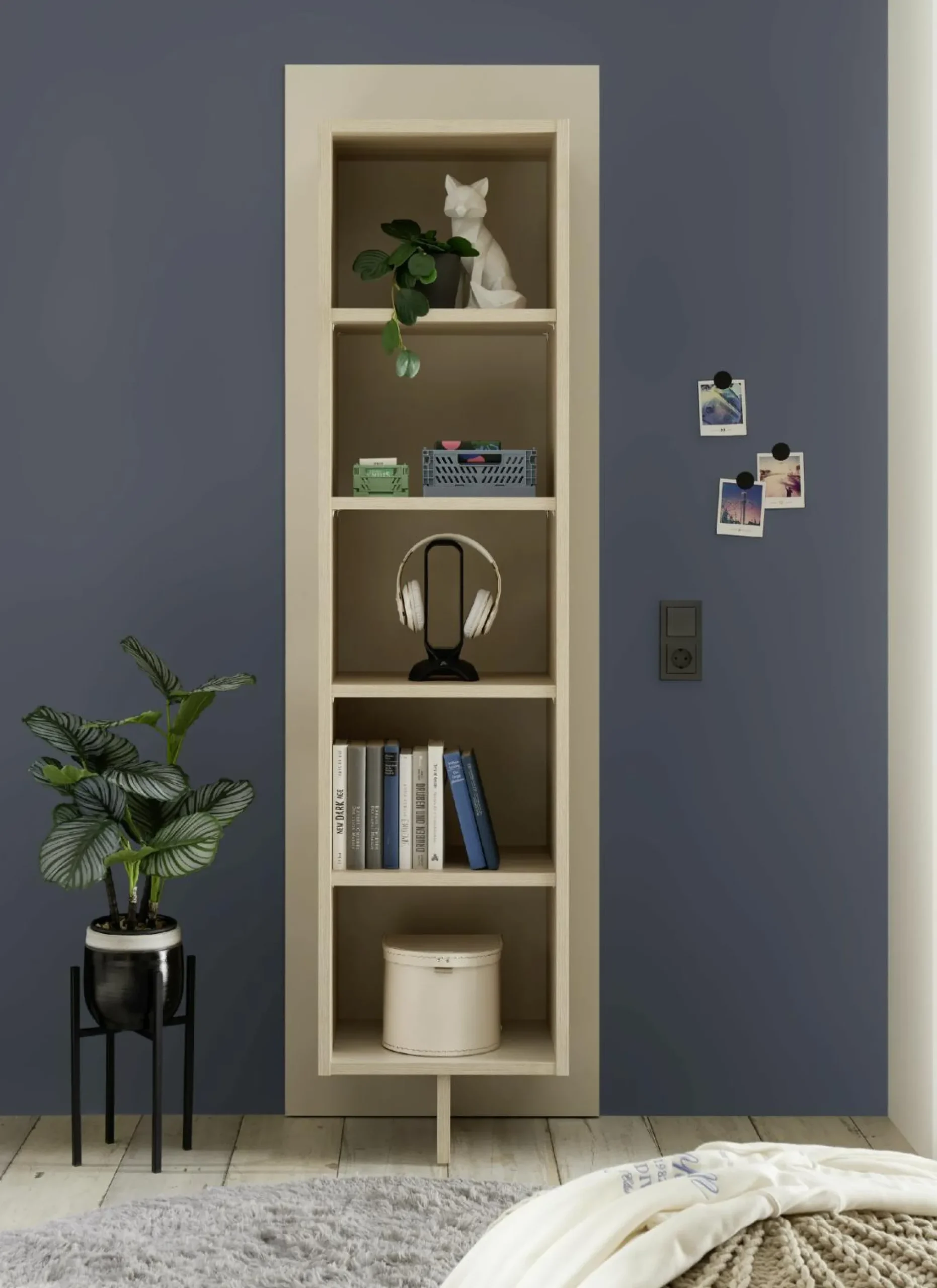 Best vito Regal ASSUME