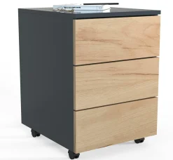 Online VCM Rollcontainer DALOSA