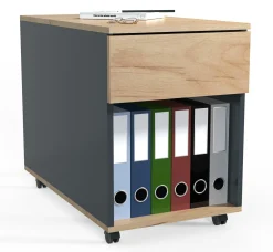 VCM Rollcontainer DALOSA