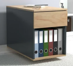 VCM Rollcontainer DALOSA