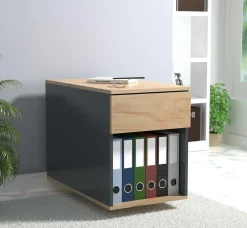 VCM Rollcontainer DALOSA