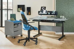 PAIDI Rollcontainer 2S