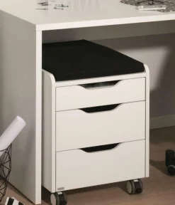 PAIDI Rollcontainer 3S