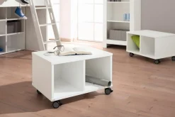 PAIDI Rollregal FIONA