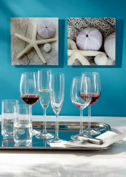 Online LEONARDO Rotweinglas DAILY