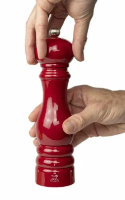 PEUGEOT Salzmühle PARIS