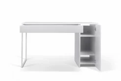 TEMAHOME Schreibtisch DANN