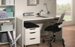 Best PAIDI Schreibtisch FIONA