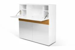 TEMAHOME Schreibtisch FOCUS