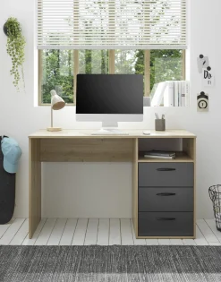 HARPER Schreibtisch BOSTON