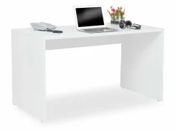 Hot PAIDI Schreibtisch