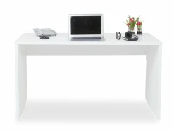 Hot PAIDI Schreibtisch