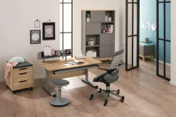 PAIDI Schreibtisch DIEGO