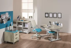 Online PAIDI Schreibtisch DIEGO 120