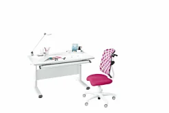 PAIDI Schreibtisch DIEGO 120