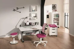 Best PAIDI Schreibtisch DIEGO 120