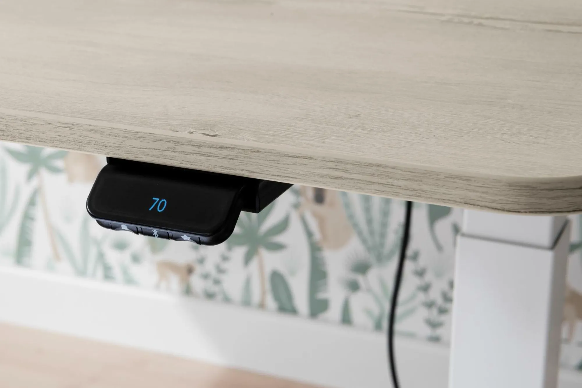 Hot PAIDI Schreibtisch E-LION