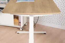 PAIDI Schreibtisch E-LION