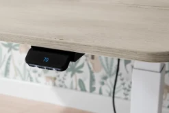 Best PAIDI Schreibtisch E-LION