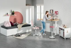 Best PAIDI Schreibtisch E-LION