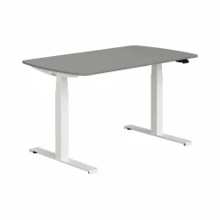 PAIDI Schreibtisch E-LION