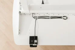 PAIDI Schreibtisch E-LION