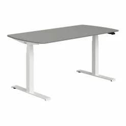 PAIDI Schreibtisch E-LION