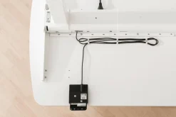 PAIDI Schreibtisch E-LION