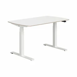 PAIDI Schreibtisch E-LION