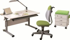 PAIDI Schreibtisch MARCO 2