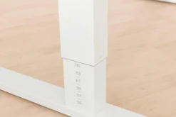 PAIDI Schreibtisch TEENIO 120