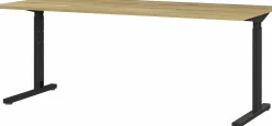 GERMANIA Schreibtisch PROFI 2.0