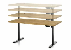 New Sonstige Schreibtisch TOULOUSE