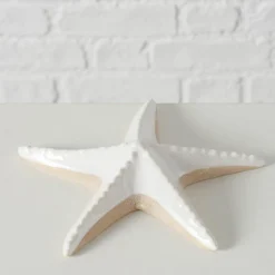 Sonstige Seestern SHELBY