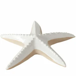 Sonstige Seestern SHELBY
