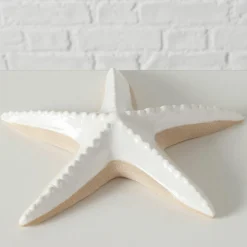 Sonstige Seestern SHELBY