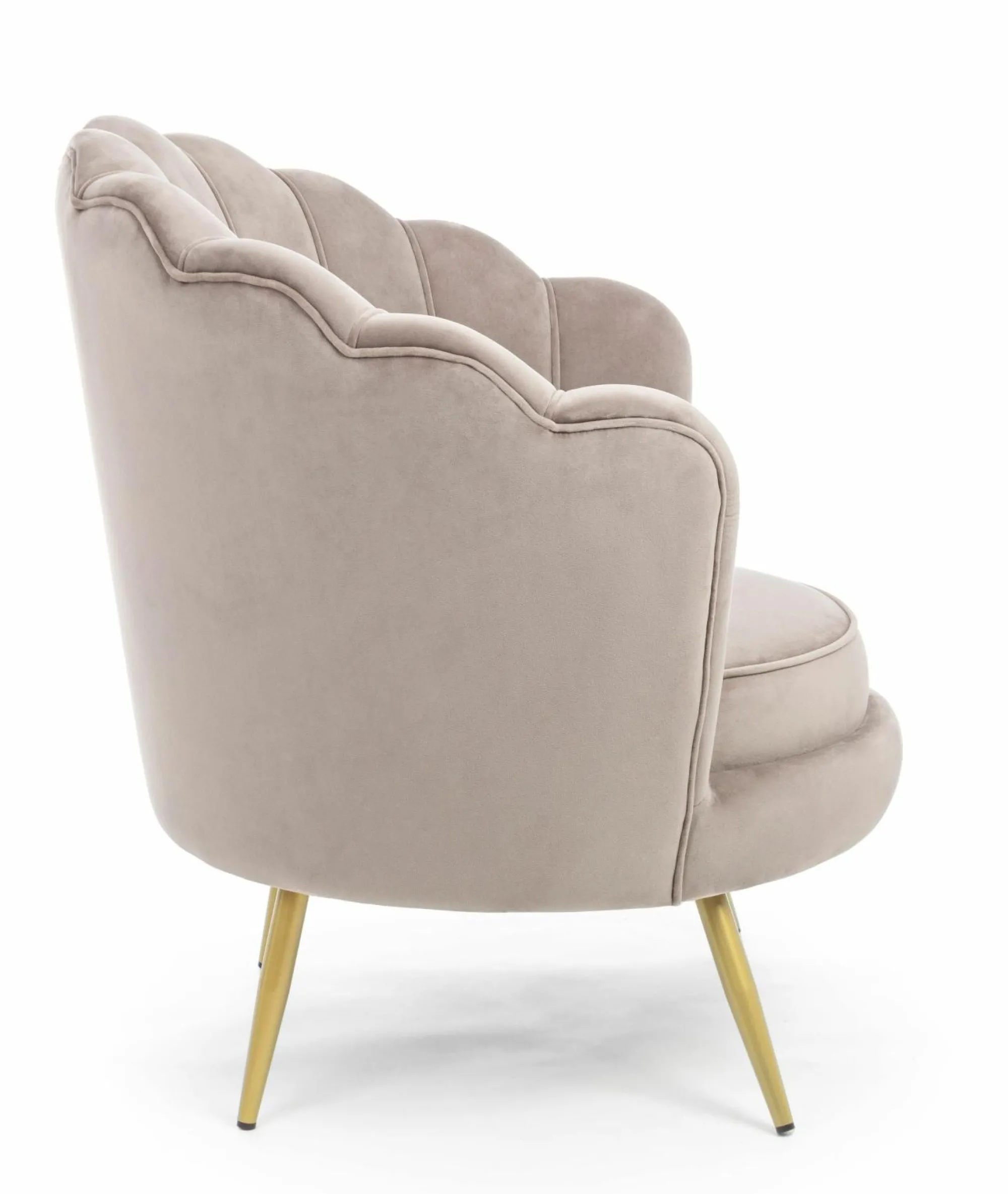 ANDREA BIZZOTTO Sessel GILIOLA