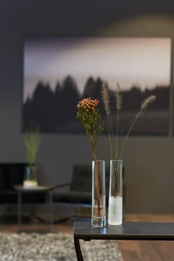 LEONARDO Solifleurvase NOVARA