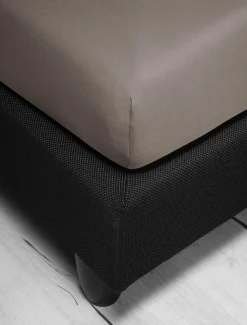 irisette Spannbettlaken JUPITER Jersey