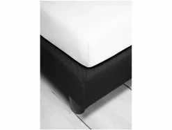 Discount irisette Spannbettlaken NEPTUN Jersey