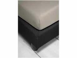 irisette Spannbettlaken ROYAL Jersey