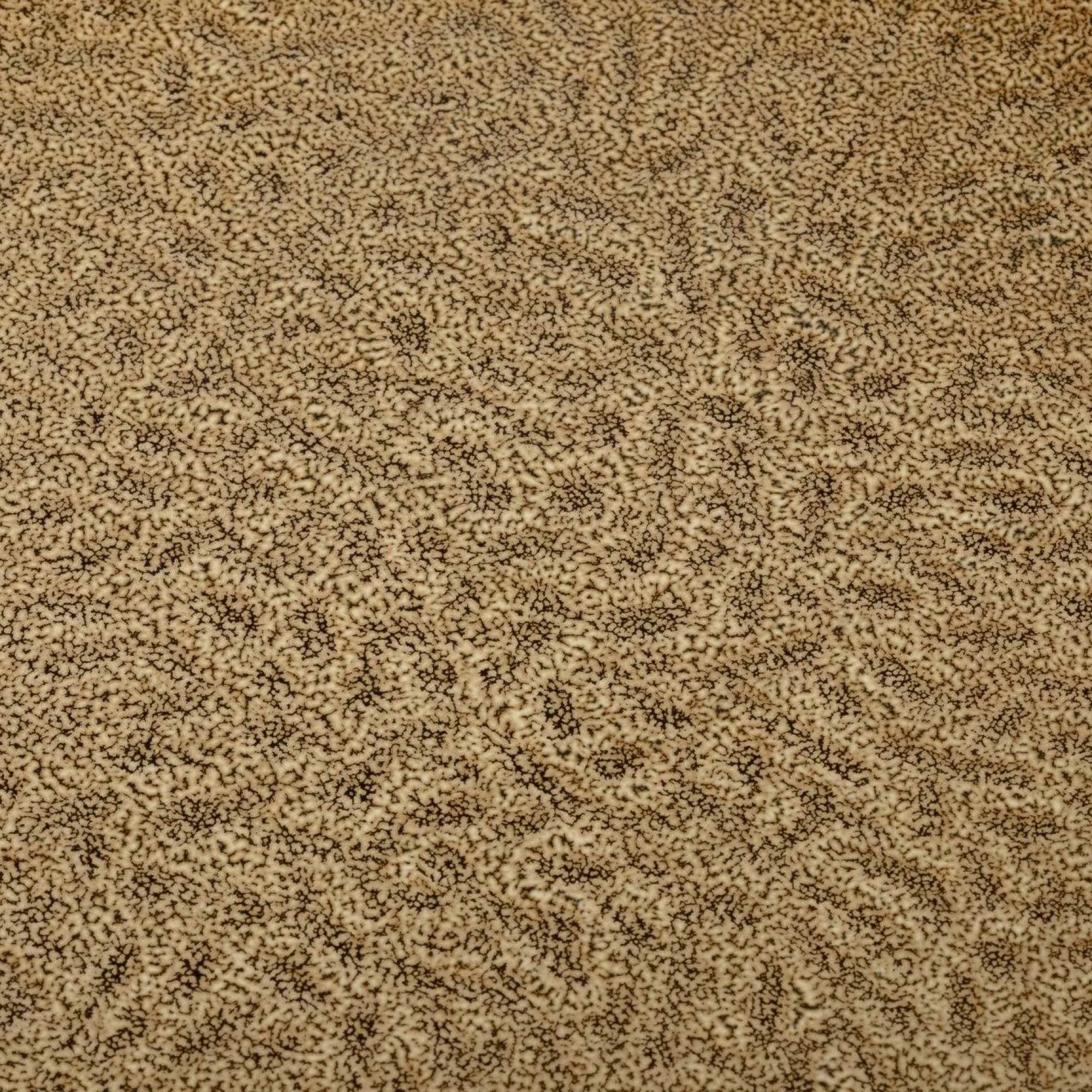 LEONARDO Speiseteller MATERA