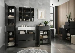 Online HARPER Spiegelschrank GIFU