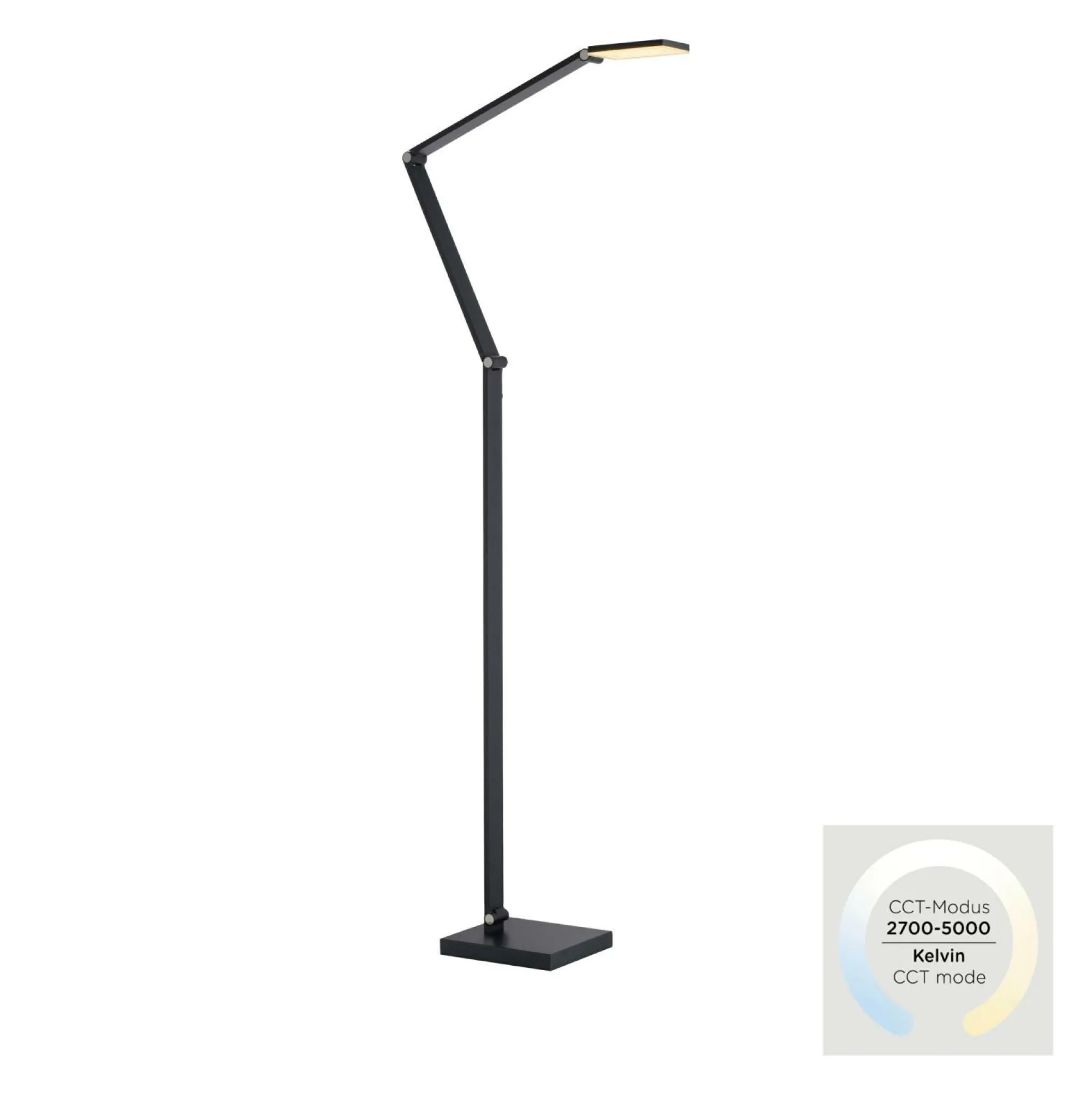 Paul Neuhaus Stehleuchte SAMSKY