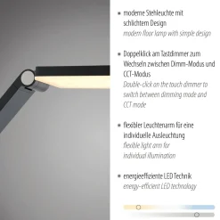 Paul Neuhaus Stehleuchte SAMSKY