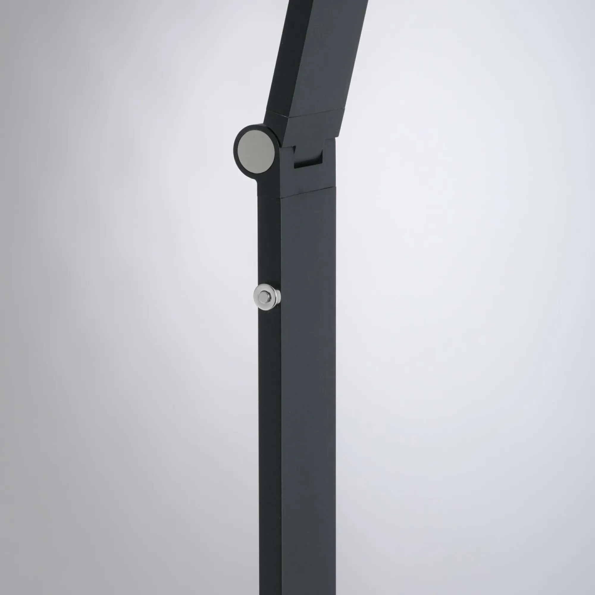 Paul Neuhaus Stehleuchte SAMSKY