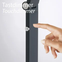 Paul Neuhaus Stehleuchte SAMSKY