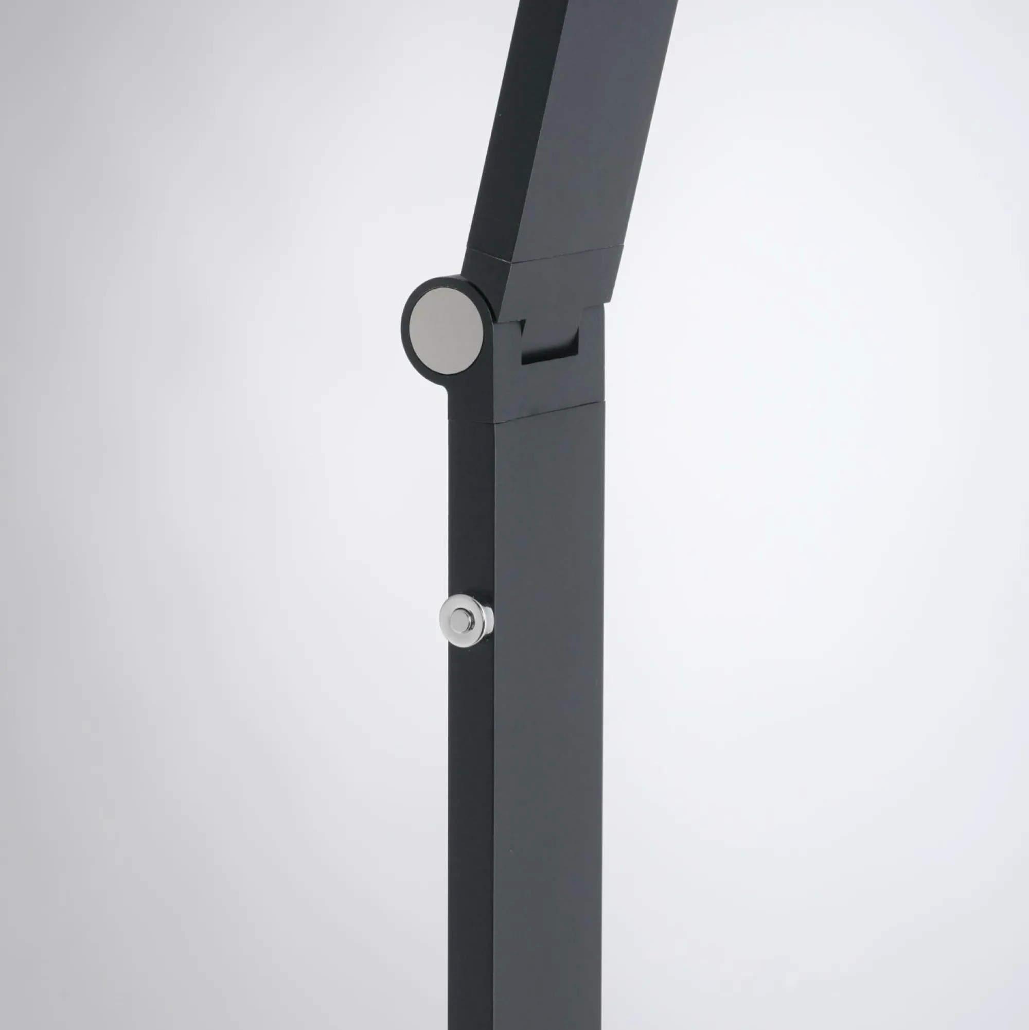 Paul Neuhaus Stehleuchte SAMSKY