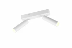 TRIO-Leuchten Strahler AMBALA